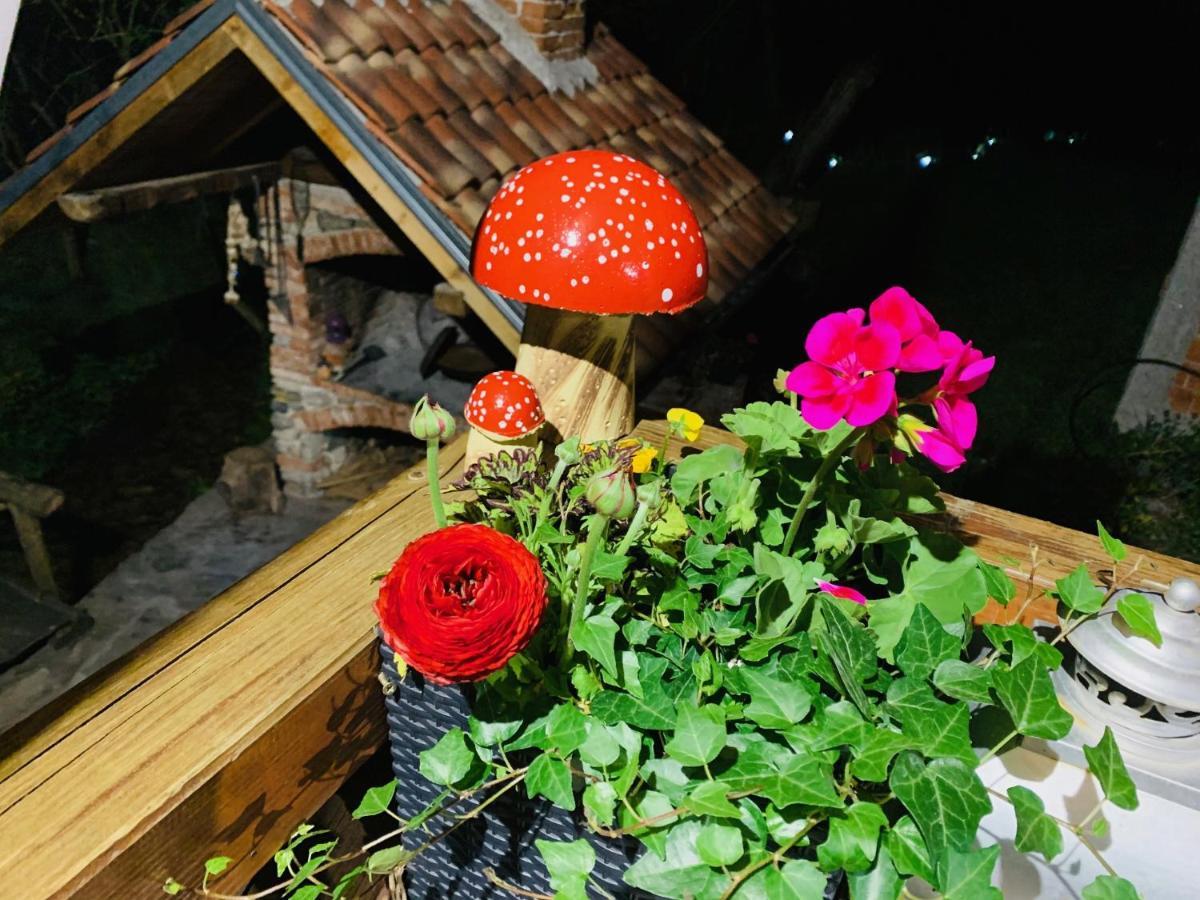 Kuca Za Odmor Bajka Villa Jastrebarsko Exterior foto