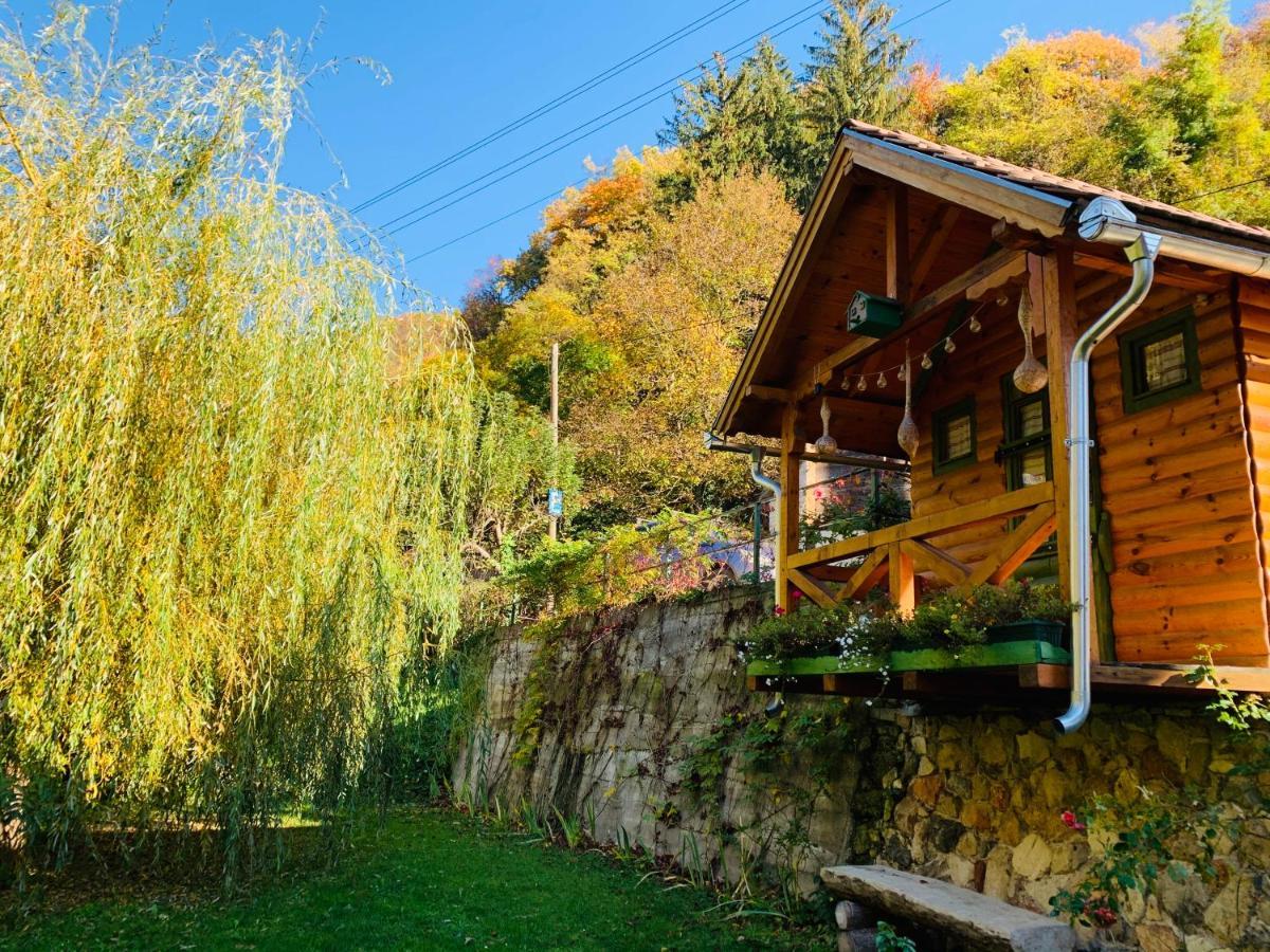 Kuca Za Odmor Bajka Villa Jastrebarsko Exterior foto